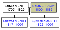 Mini tree diagram