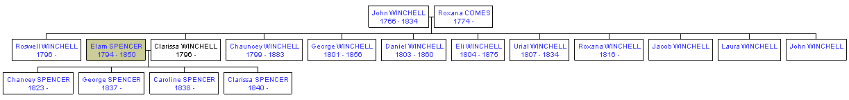 Mini tree diagram