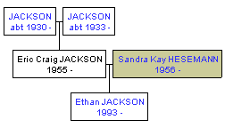 Mini tree diagram