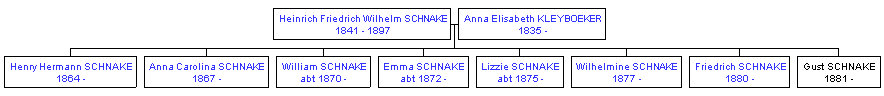 Mini tree diagram