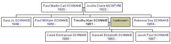 Mini tree diagram