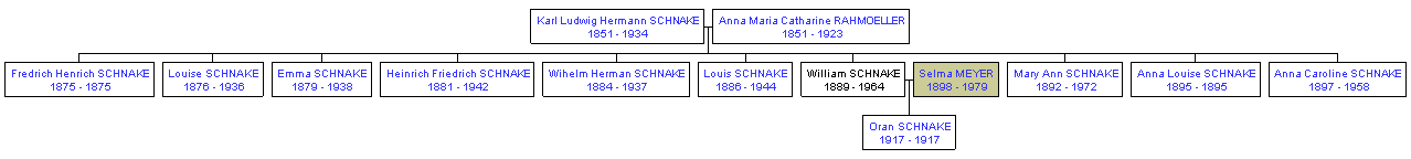 Mini tree diagram