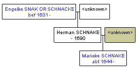 Mini tree diagram