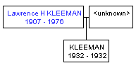 Mini tree diagram