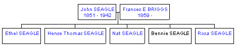 Mini tree diagram