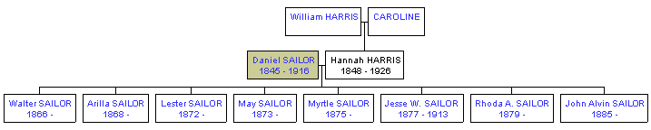 Mini tree diagram