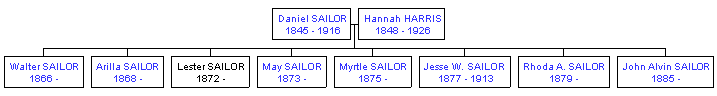 Mini tree diagram